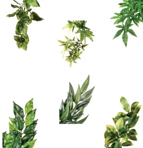 Exo Terra Croton stor